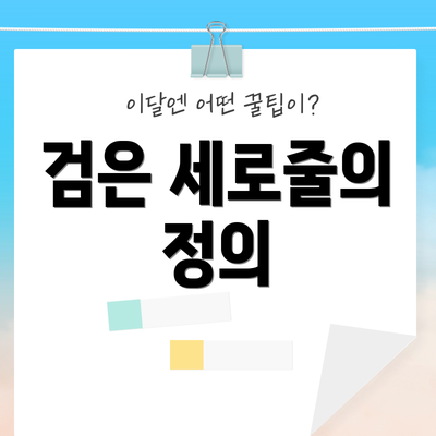 검은 세로줄의 정의