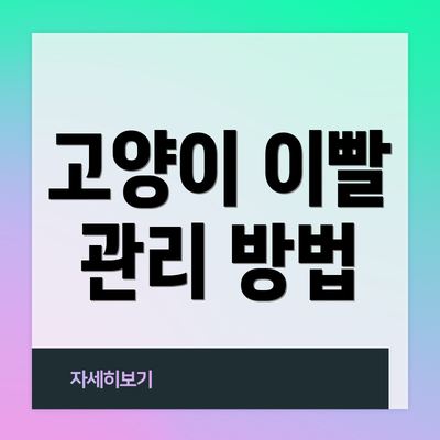 고양이 이빨 관리 방법