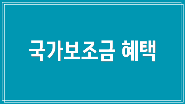 국가보조금 혜택