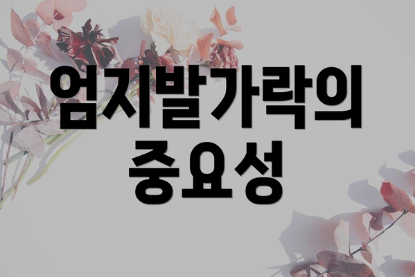 엄지발가락의 중요성