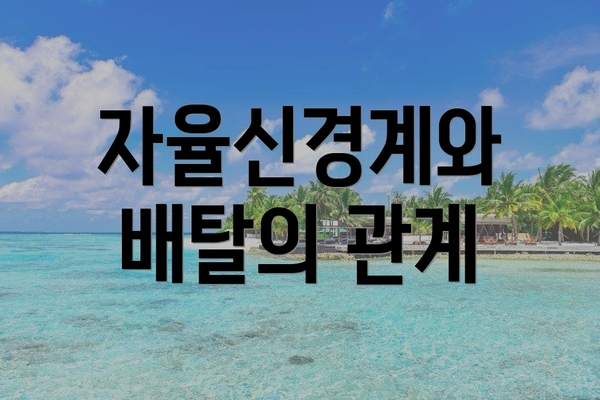 자율신경계와 배탈의 관계