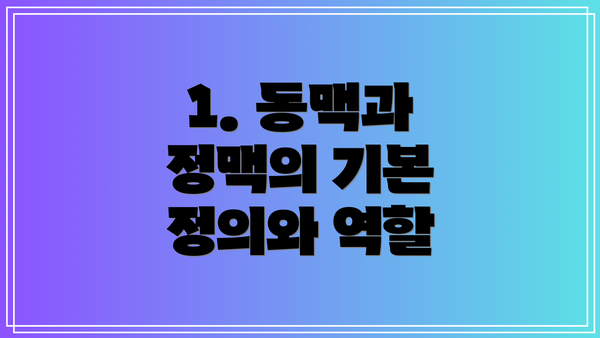 1. 동맥과 정맥의 기본 정의와 역할