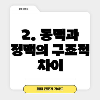 2. 동맥과 정맥의 구조적 차이