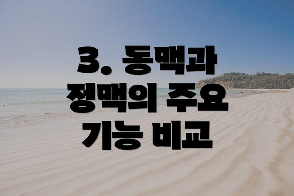 3. 동맥과 정맥의 주요 기능 비교