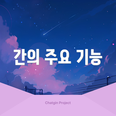 간의 주요 기능