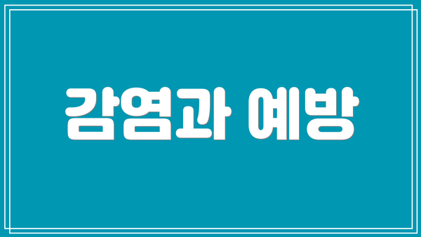 감염과 예방
