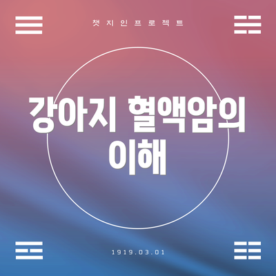 강아지 혈액암의 이해