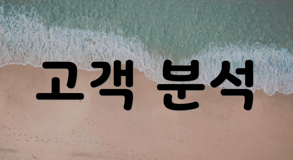 고객 분석