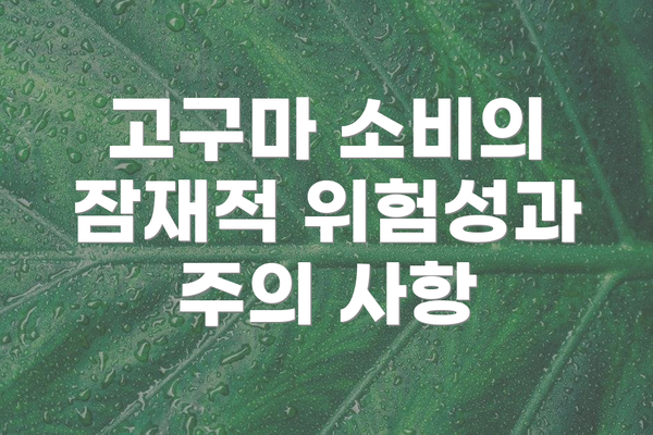 고구마 소비의 잠재적 위험성과 주의 사항