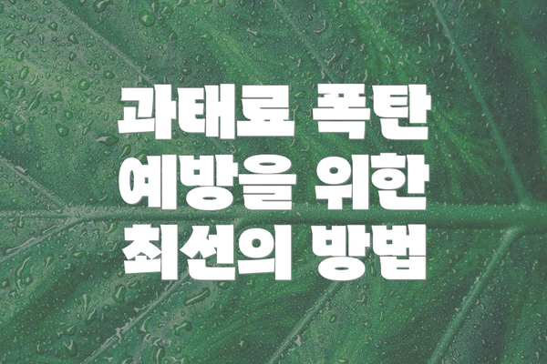 과태료 폭탄 예방을 위한 최선의 방법