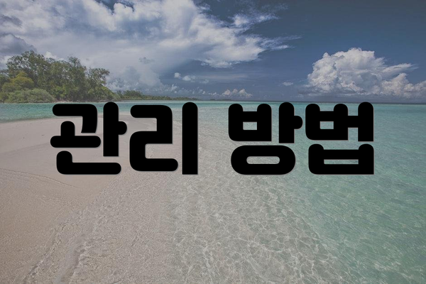 관리 방법