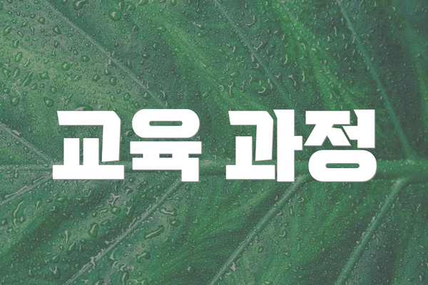 교육 과정