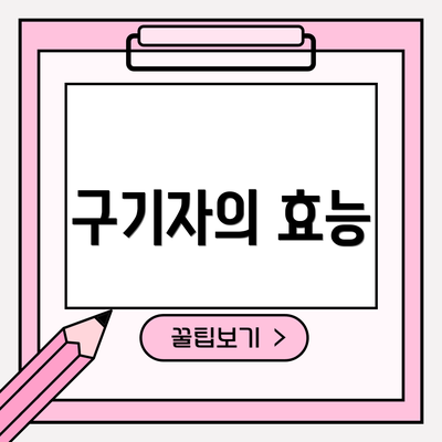 구기자의 효능
