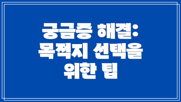 궁금증 해결: 목적지 선택을 위한 팁