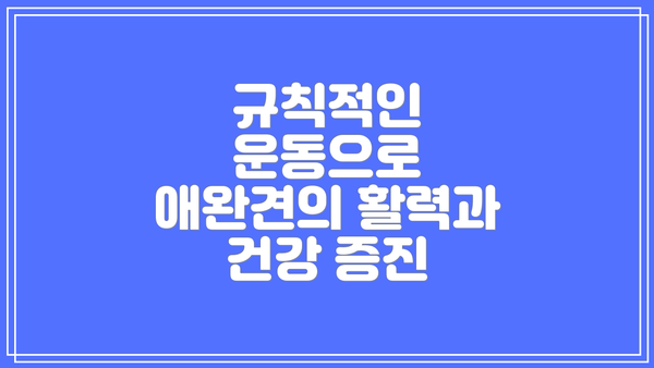 규칙적인 운동으로 애완견의 활력과 건강 증진