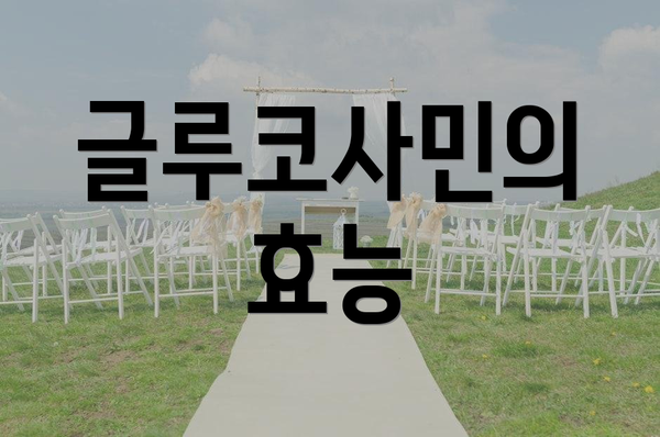 글루코사민의 효능