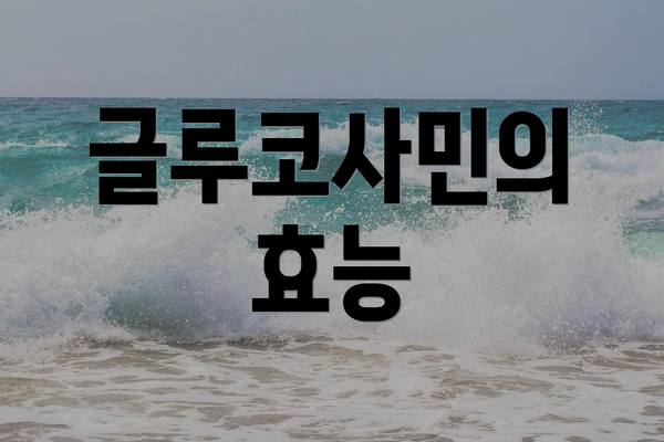 글루코사민의 효능