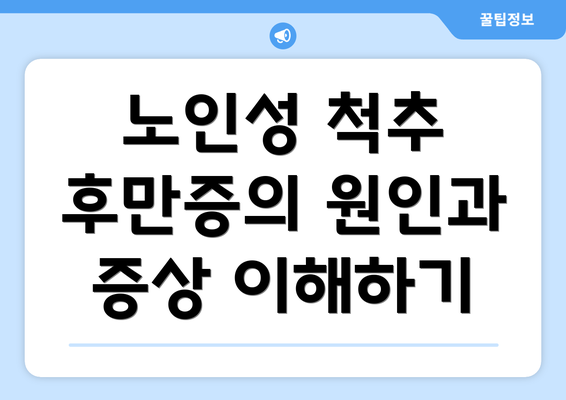 노인성 척추 후만증의 원인과 증상 이해하기