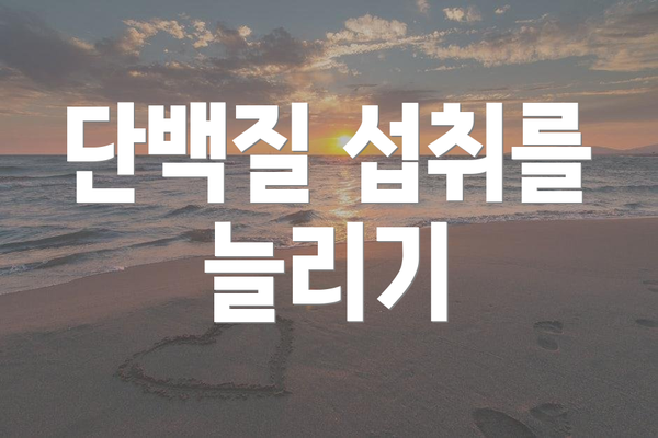 단백질 섭취를 늘리기