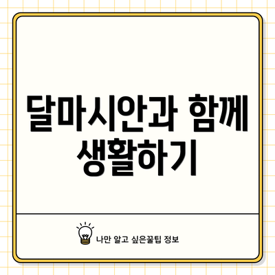 달마시안과 함께 생활하기