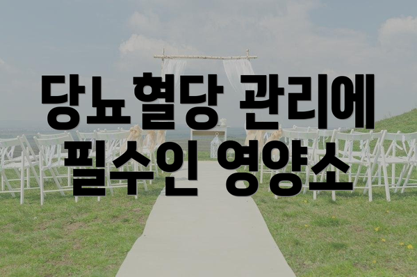 당뇨혈당 관리에 필수인 영양소