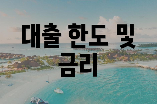 대출 한도 및 금리
