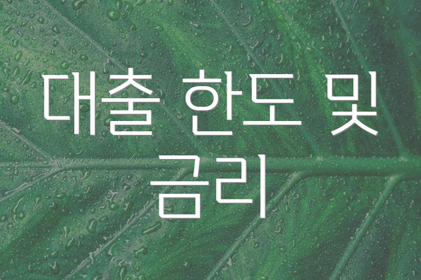 대출 한도 및 금리