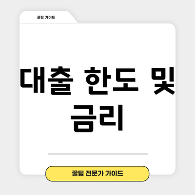 대출 한도 및 금리