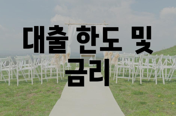 대출 한도 및 금리