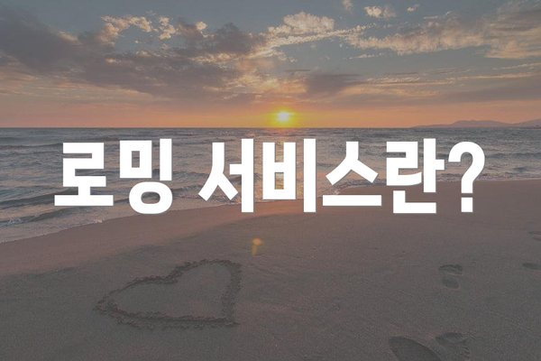 로밍 서비스란?