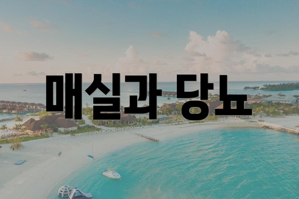 매실과 당뇨