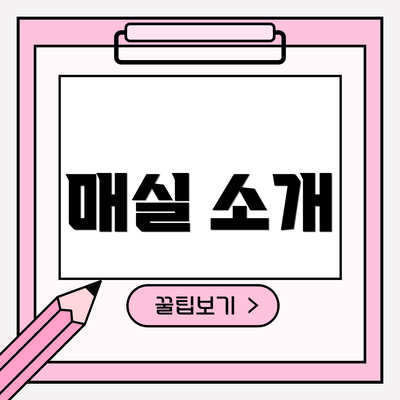 매실 소개