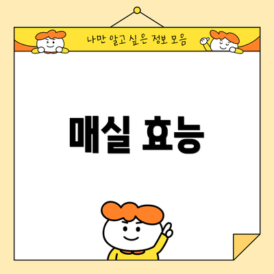 매실 효능
