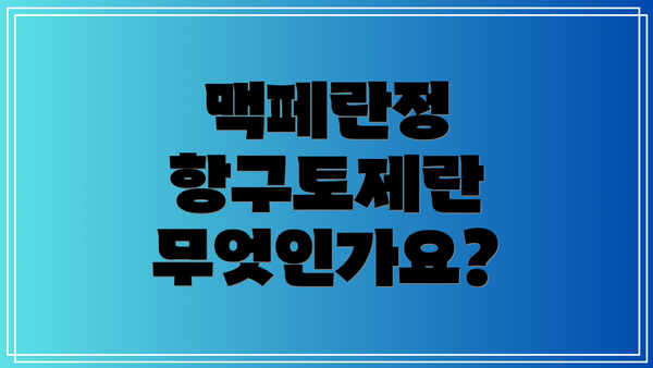 맥페란정 항구토제란 무엇인가요?