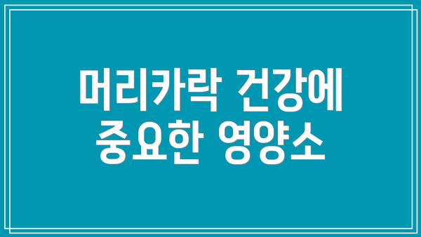머리카락 건강에 중요한 영양소
