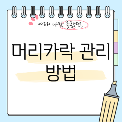 머리카락 관리 방법
