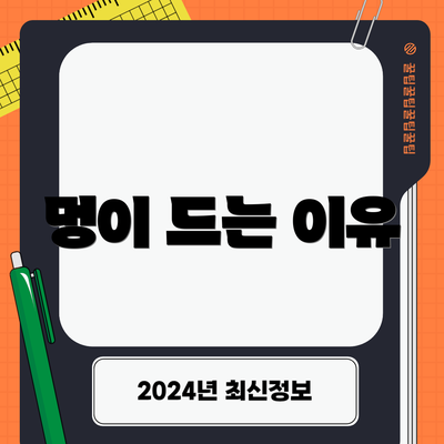 멍이 드는 이유