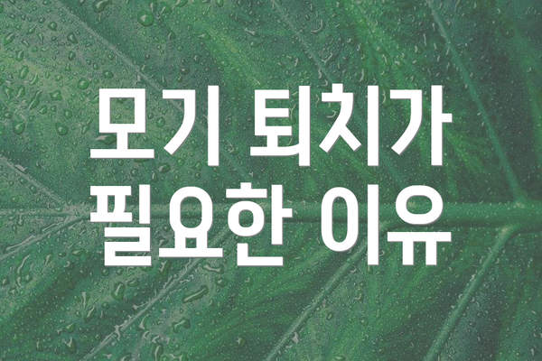 모기 퇴치가 필요한 이유