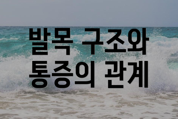 발목 구조와 통증의 관계