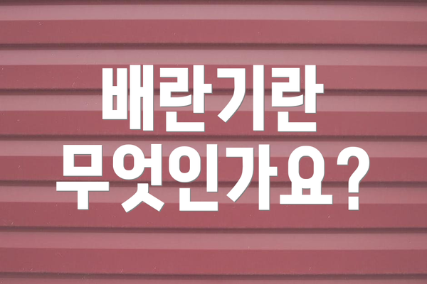 배란기란 무엇인가요?