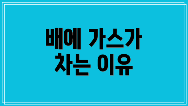 배에 가스가 차는 이유