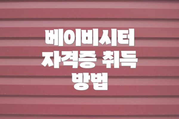 베이비시터 자격증 취득 방법