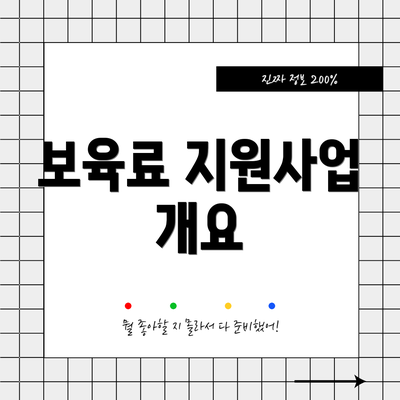 보육료 지원사업 개요