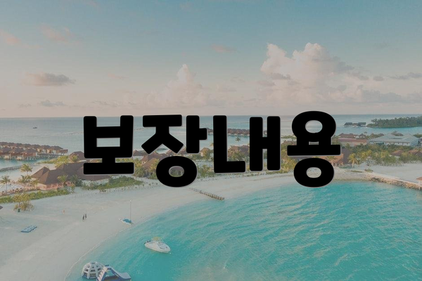 보장내용