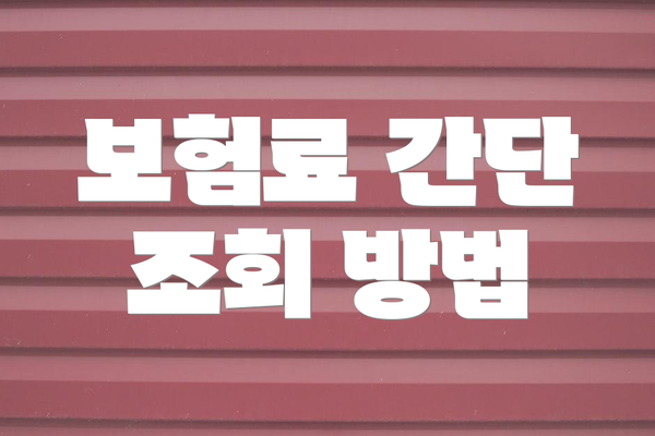보험료 간단 조회 방법