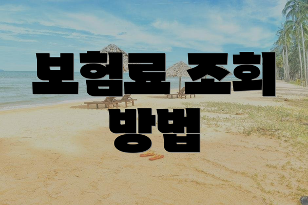 보험료 조회 방법