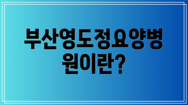 부산영도정요양병원이란?