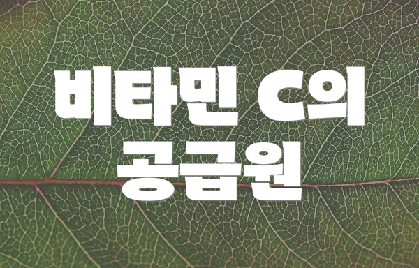 비타민 C의 공급원