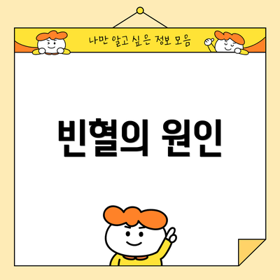 빈혈의 원인