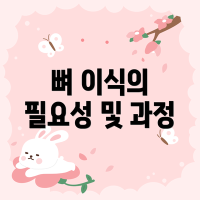 뼈 이식의 필요성 및 과정